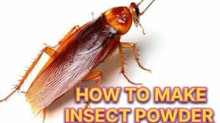 HOW TO MAKE INSECT POWDER [upl. by Lonni77]