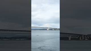 dailyshorts queensferry crossing bridge edinburgh uk trending traveling viralshort explore [upl. by Kiona187]