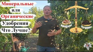 Какие УДОБРЕНИЯ ЛУЧШЕ для ВИНОГРАДА – ОРГАНИЧЕСКИЕ или МИНЕРАЛЬНЫЕ [upl. by Celia540]