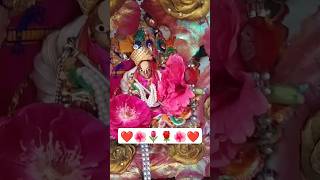 Saanwre shyam 🪷💖 krishna vrindavan krishnabhajan radheradhe youtubeshorts shortsvideo shorts [upl. by Sewell312]