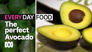 How to pick the perfect avocado  Everyday Food  ABC Australia [upl. by Mloc]