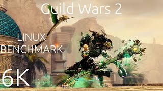 Guild Wars 2 Linux Benchmark RX 7900XT [upl. by Armillia]