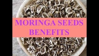 MORINGA SEEDS BENEFITS [upl. by Kelam]