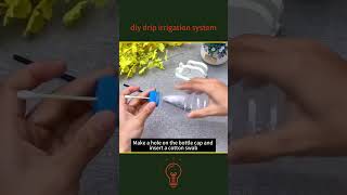 DIY Drip Irrigation Dystem Plant SelfWatering System  Plastic Bottle DripIrrigation Ninonly Tips [upl. by Nivlen]