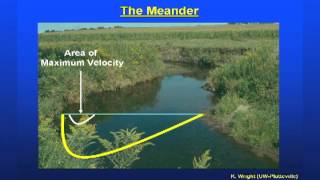 Stream Ecology Basics [upl. by Llerref]