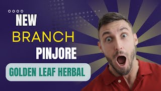 Golden leaf herbal ￼Pinjore branch [upl. by Amary]