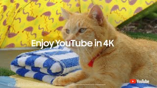 AI Upscaling Enjoy your content in 4K or higher  Samsung [upl. by Berger]