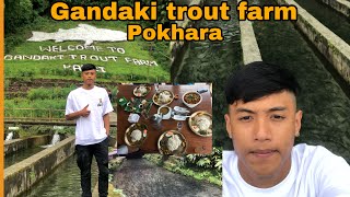 Gandaki trout farm pokharasardikhola bhujung khola Pokhara kaskifish ko khani🤣 [upl. by Mullane416]