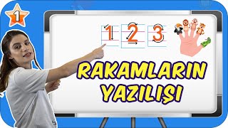 Rakamların Yazılışı ve Öğrenimi 👩🏻‍🏫 1Sınıf Matematik ✨ [upl. by Darrelle]