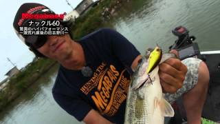 MEGABASS MOVIE 082 KNUCKLE60 実釣動画 [upl. by Aldred190]