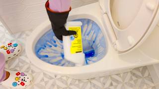 Powerful Expert Bathroom Cleaning Tips [upl. by Vladamir]