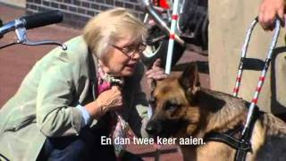 Daar is de camera  Slimme blindengeleidehond [upl. by Nikolaos]