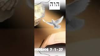 Proverbios 7 visita video completo proverbios fe biblia reels shorts [upl. by Oiratnom608]