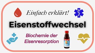 Eisenstoffwechsel Einfach erklärt  Biochemie der Eisenresorption [upl. by Naelopan107]