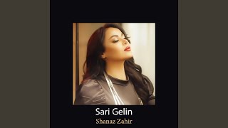 Sari Gelin Kurdish Live Performance [upl. by Iam608]