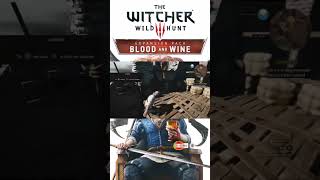 The Witcher 3  the training for witcher  IndianGhostWarrior TheWitcher3WildHunt PS5 PS5Live [upl. by Itsrejk258]