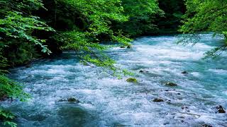 The Mountain River Flowing Sound Blue Water Nature Sounds Forest River White Noise for Sleeping [upl. by Dalt]