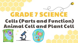 Intro To Cells Animals amp Plants  Cells  Biology  FuseSchool [upl. by Sherill]