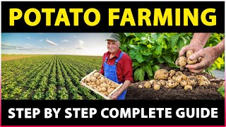 Potato Farming Planting Care Harvesting  How to grow potatoes at Home  Potato Cultivation [upl. by Devland]