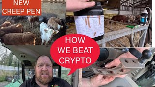 HOW TO BEAT CRYPTOSPORIDIUM  CALVING UPDATE amp MORE [upl. by Tiga]