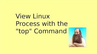 View Linux Processes with top [upl. by Eugenides110]