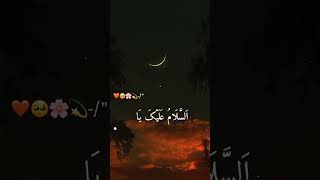 Raqqat Aina Ya Shauqan  beautiful Arabic naat arabic naat ytshorts islam [upl. by Cato]