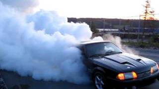 mustang 50 4th gear burnout [upl. by Ardnas]