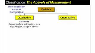 Variables and How to Classify Them [upl. by Sivla980]