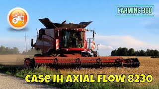 Harvest 2023  Case IH Axial Flow 8230 combine harvesting wheat [upl. by Ateinotna463]