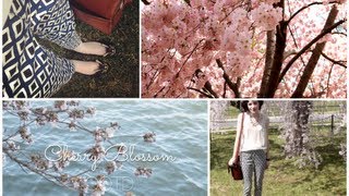 OOTD  DC Cherry Blossom [upl. by Arlon]