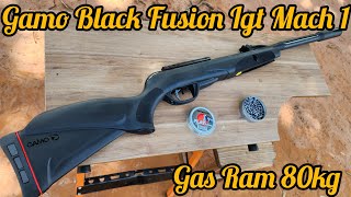 CARABINA GAMO BLACK FUSION IGT MACH 1 UM RIFLE POTENTE COM QUALIDADE GAMO [upl. by Eirallam]