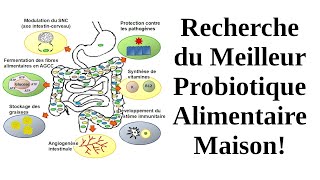 Après antibiotiques 💊 Recherche du Meilleur Probiotique Alimentaire Maison Errata 938 voir descr [upl. by Deery]