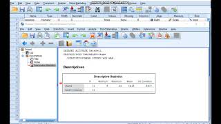 SPSS BETİMSEL İSTATİSTİK Tez raporu yazımı [upl. by Etterrag]