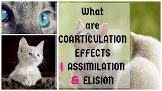 What Are Coarticulation Effects  Assimilation  Elision  Phonology  Lecture 24   UrduHindi [upl. by Profant]