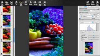 Canon Digital Photo Professional Tutorial  Tool paletteRAW image 819 [upl. by Halvaard671]