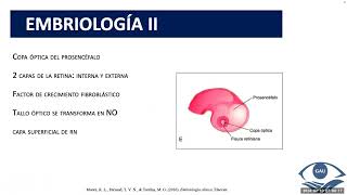 Anatomía y Fisiología de las Células Ganglionares de la Retina y Nervio Óptico 10 Febrero 2024 [upl. by Adnalahs]