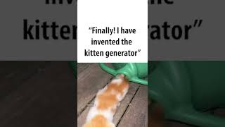 cat generator [upl. by Nina]