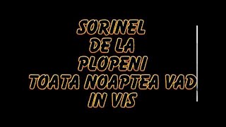 SORINEL DE LA PLOPENI TOATA NOAPTE VAD IN VIS [upl. by Kerns]