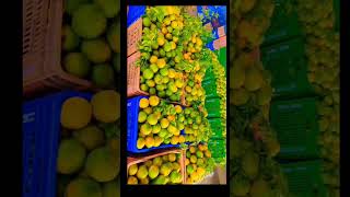 trending fruit orange viralreels viralshorts  Batasigaram Fruit Market [upl. by Eicyal]