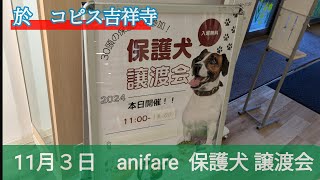 11月３日 anifare 保護犬 譲渡会 於 コピス吉祥寺 [upl. by Namia419]