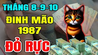 Tử Vi Tháng 8 9 10 Âm Lịch Đinh Mão 1987 Thoát Hạn Thái Tuế TRÚNG ĐẬM ĐỔI ĐỜI Tiền Vàng Ngập Két [upl. by Barrada]