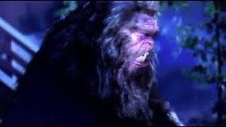 Abominable Full Movie Facts amp Review in English  Matt McCoy  Haley Joel [upl. by Lladnek294]