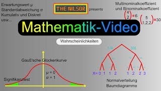 TheNilsor  Mathematik  Vertrauensintervall [upl. by Nazarius630]