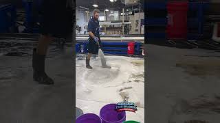 A SOAPY Rug Wash saves this rug 😱 rugcleaning [upl. by Akined]