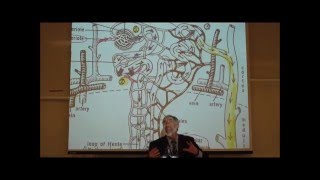 PHARMACOKINETICS Metabolism amp Excretion by Professor Fink [upl. by Aifos]