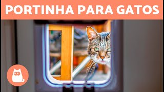 PORTA para GATOS benefícios e como instalar 🐱 [upl. by Admama350]