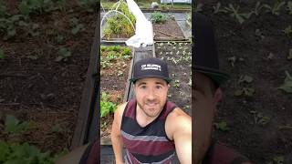 Fall Gardening Secrets Revealed [upl. by Limoli]