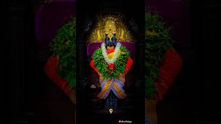 🚩 Pandharichi Vari 2024 🚩 Mazya Pandurangachi Vari Status  Ekadashi watsapp status HD ✨🎶🙏🚩 [upl. by Soirtemed]