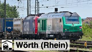 WO sind denn nun die RheintalUmleiter – Wörth am Rhein [upl. by Hachmin58]