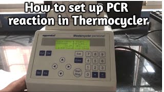 How to setup the PCR Reaction on Thermocycler [upl. by Einnad775]